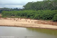 Report urges full protection of world’s 196 uncontacted Indigenous peoples