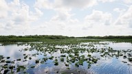 Who are the largest private landowners in Florida? Here's the list