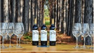 Vino entrerriano recibió el premio máximo en el concurso más antiguo del país