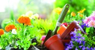 Extension Master Gardener volunteer class begins in February