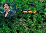 “Si no protegemos el suelo agropecuario, Medellín va a tener una presión para su abastecimiento”: Minagricultura sobre las APPA