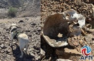 Hallan restos óseos en la sierra Cucapah; senderista dio aviso