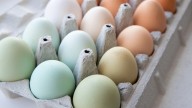 Why You Never See Different Colored Eggs At The Grocery Store