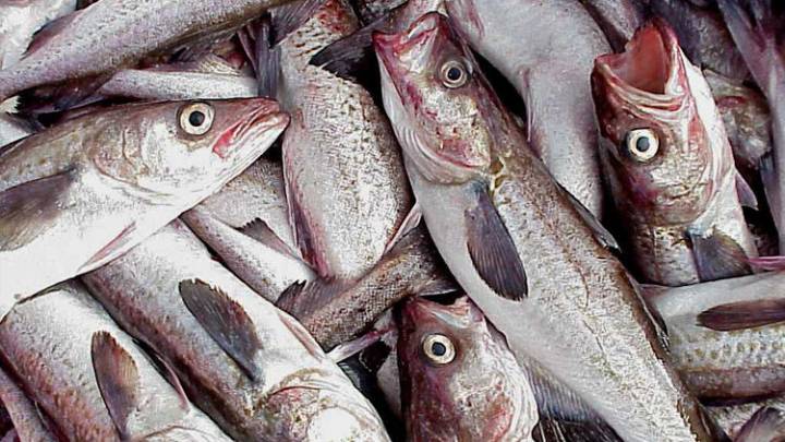 Government shutdown creates uncertainty for fisheries management in waters off Alaska