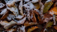 Freeze warning issued for parts of Wasatch Front, northern Utah