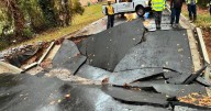 Crews respond to collapsed road in Forest Park