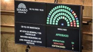 El Senado rechazó los vetos presidenciales en Garrahan y universidades