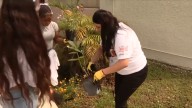 Miami Dolphins team up with local organization to teach students about Hispanic culture