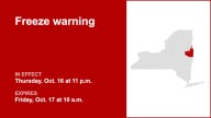 NY weather: Freeze warning for New York until Friday morning
