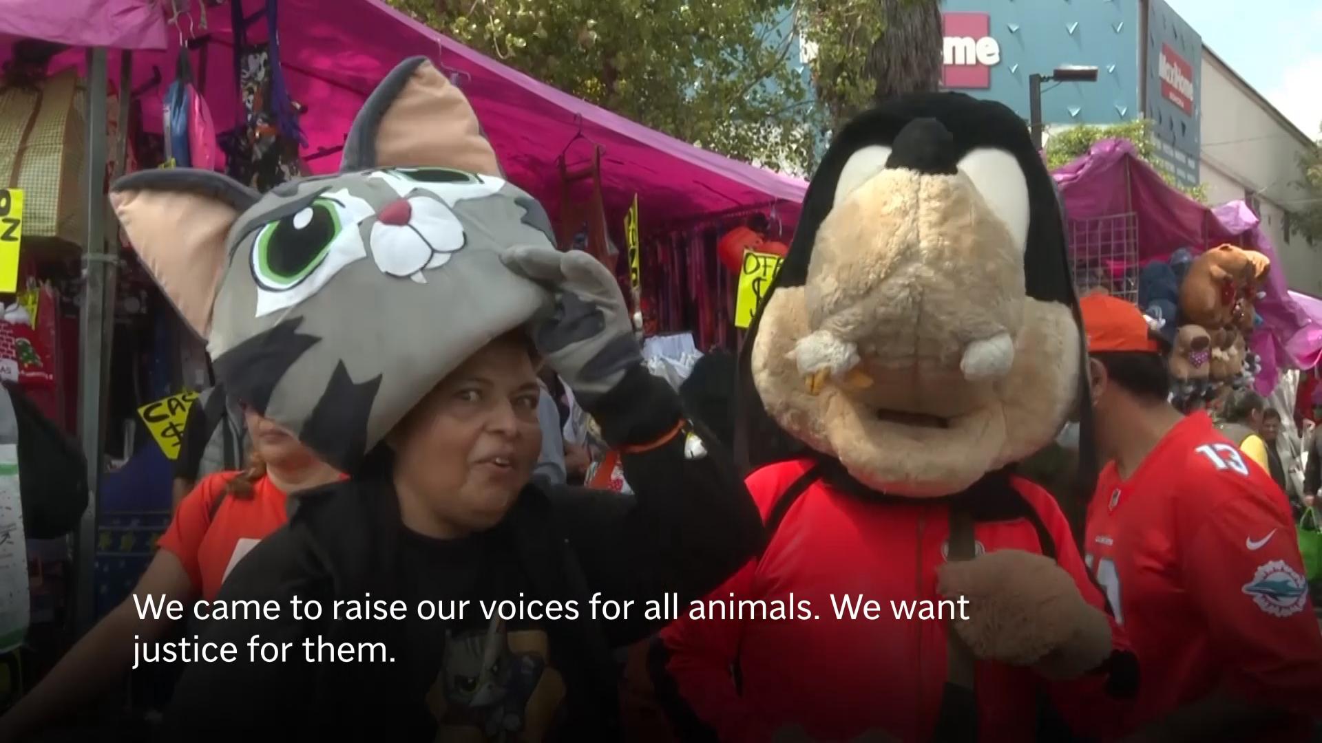 Activists protest 'inhumane' treatment and sale of animals outside Mexico City market