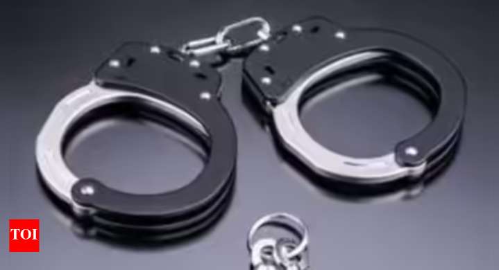Spying for Pakistan: Haryana police arrest YouTuber Wasim Akram in Palwal; chats under investigation