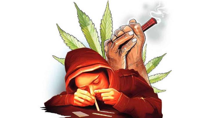 Trans-state swoop: EAGLE Force and NCB bust 500kg ganja haul