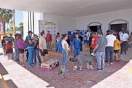 Cuida a tu perro o gato: aprovecha la jornada gratuita de esterilización