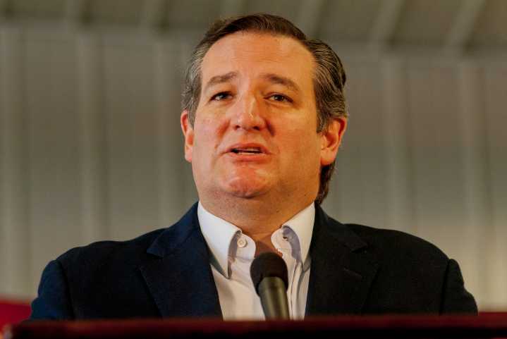 Ted Cruz: "Let's stop attacking pedophiles"