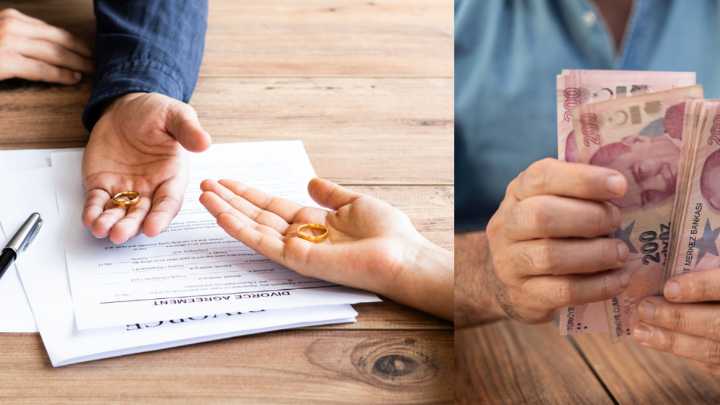 Hombre tendrá que pagar la manutención de sus dos gatos durante los próximos 10 años tras divorciarse de su pareja