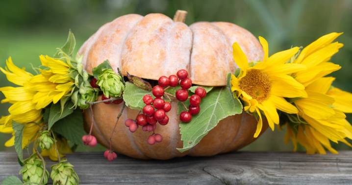 When it comes to carving pumpkins that last, it's all about where you carve