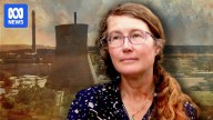 Callide Power Station's life extended as Qld government delays move away from coal