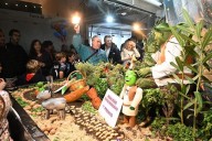 Los mercados de Cádiz celebran Tosantos con récord de participación