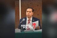 Integran a Mejía Berdeja a la Comisión de Energía de la Cámara de Diputados, tras pelearse a golpes