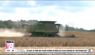 "We're just praying for rain": Alabama farmers feeling impacts of ongoing drought