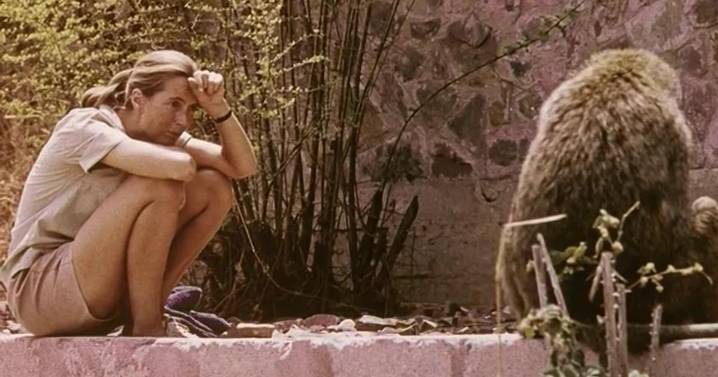 Honoring Jane Goodall’s legacy by supporting her favorite charities