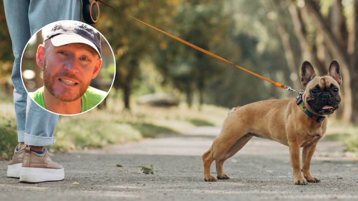 Cuál es la clave a la hora de pasear a tu perro, según un adiestrador canino