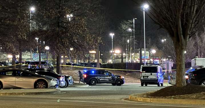 Families of teens murdered outside Columbia Mall sue GPS company tasked with tracking alleged killer