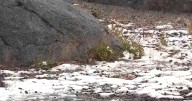 October snowfall hits California's Northern Sierra at Donner Summit