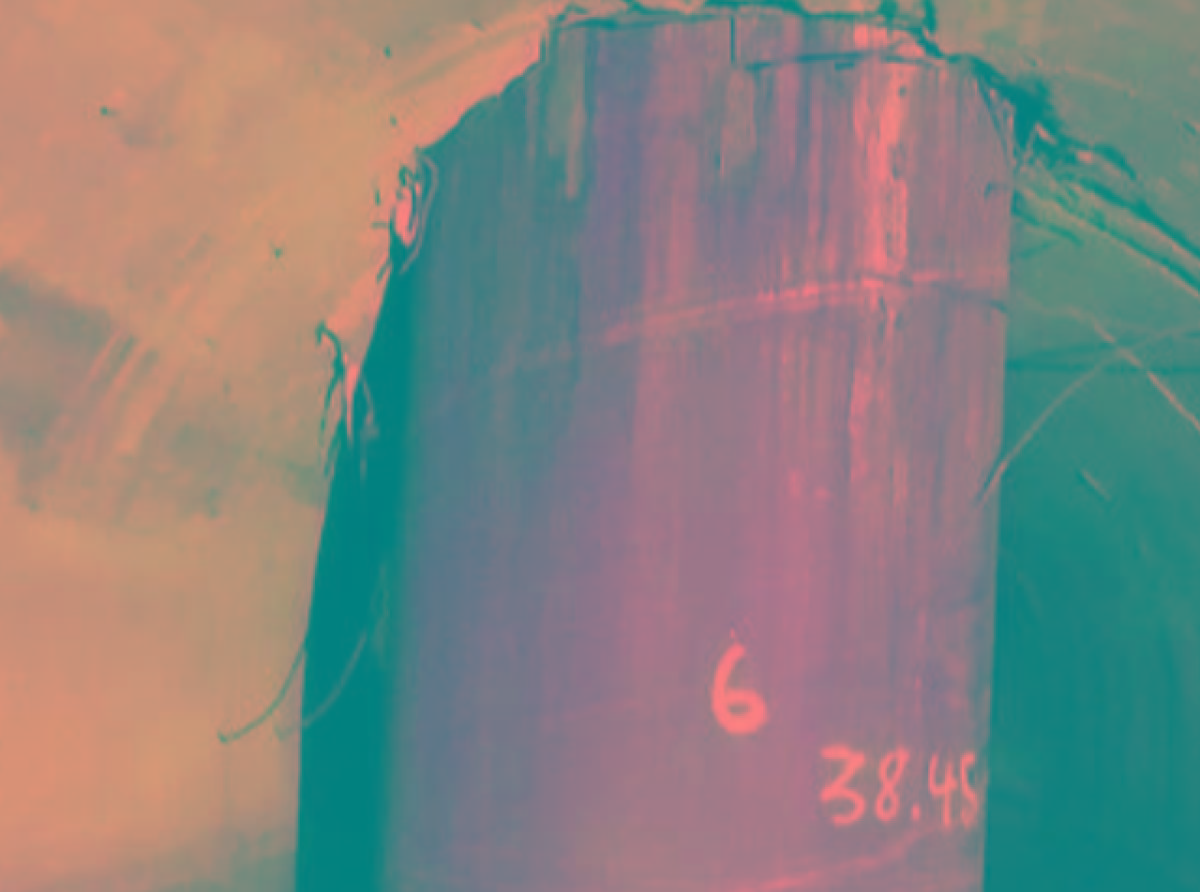 Discipulo Avanzado del PG