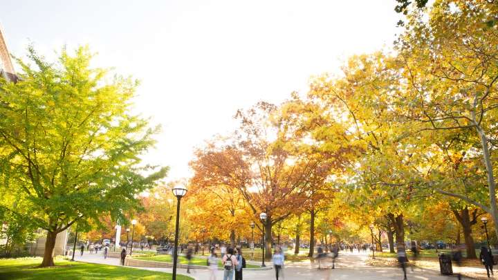 Arrivals of international students to the US dropped almost a fifth in August
