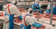 Grupo cárnico brasileño MBRF refuerza su presencia en el Golfo Pérsico