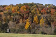 Photos: Falls colors in the St. Croix River Valley