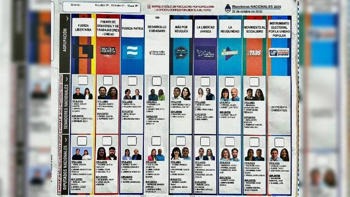 Elecciones Neuquén 2025 con Boleta Única de Papel: ¿Se puede corregir el voto si se comete un error?