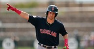 Hedgesville product DeLauter could make MLB debut in postseason