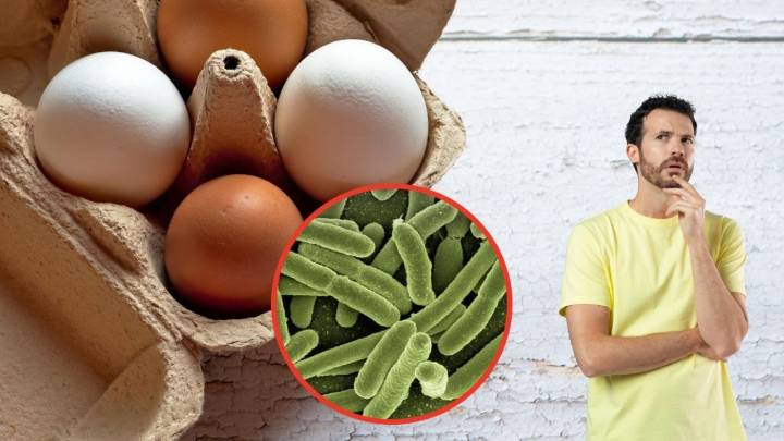Cómo prevenir el contagio con salmonela tras el anuncio de un retiro masivo de paquetes de huevo
