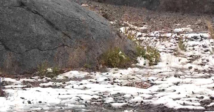October snowfall hits California's Northern Sierra at Donner Summit
