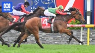 Torranzino wins Geelong Cup, giving trainer Paul Preusker a Melbourne Cup runner