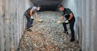 American e-waste is causing a ‘hidden tsunami’ in Southeast Asia, report says