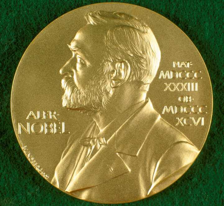 Medicine Nobel Prize 2025: How Do Our Bodies Know When to Stop Fighting?