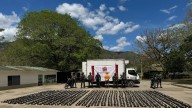 Ejército incauta más de 800 kilos de marihuana en La Plata, Huila