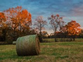 Autumn Adventures in JoCo as You Travel through NC