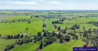 Glenelg: An outstanding 550ha lamb finishing opportunity