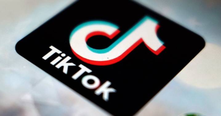 EU accuses Meta, TikTok of breaching transparency rules