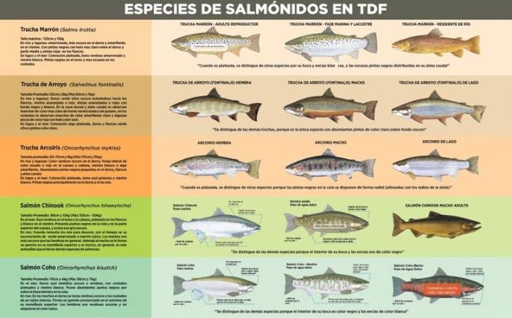 Pesca ilegal en el río Milna