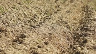 Maine faces daunting drought amid October rain prospects