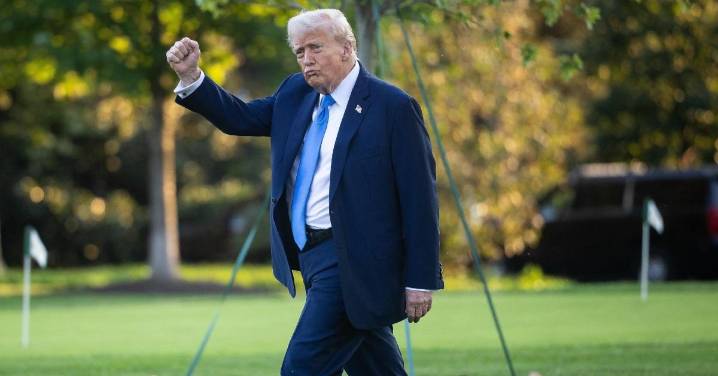 Donald Trump Admits He'll Never Wear a Bathing Suit at the Beach Because His 'Larger Body' Won't 'Be Appreciated': Watch
