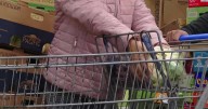 As goverment shutdown lingers, food pantries need donations for spike in demand