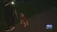 North pack Run Club Hosts Super Moon 5k Run