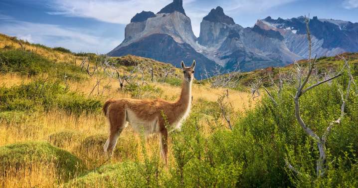 Organizaciones ambientales llaman a las candidaturas a comprometerse con el medioambiente