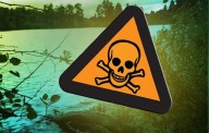 Look but don't touch at these Kansas lakes: KDHE